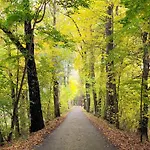 W Sercu Parku - Dąbrówka Cieplce Jelenia Góra