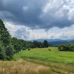 W Sercu Parku - Dąbrówka Cieplce