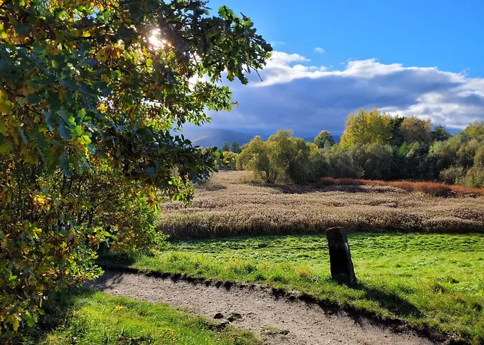 W Sercu Parku - Dabrowka Cieplce * Jelenia Gora